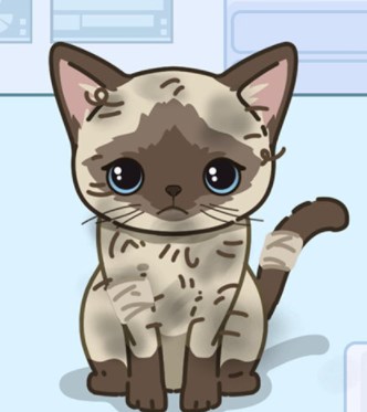 猫猫狗狗一起玩【小游戏】